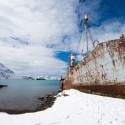 Grytviken, South Georgia