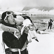 Tourist in Antarctica