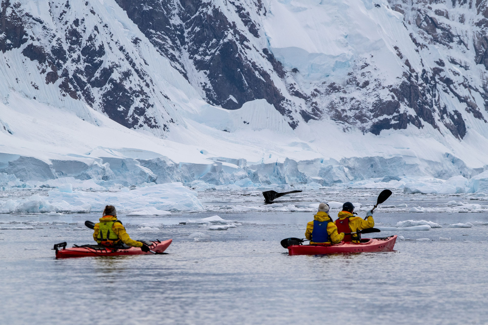 Exploris One - Antarctica