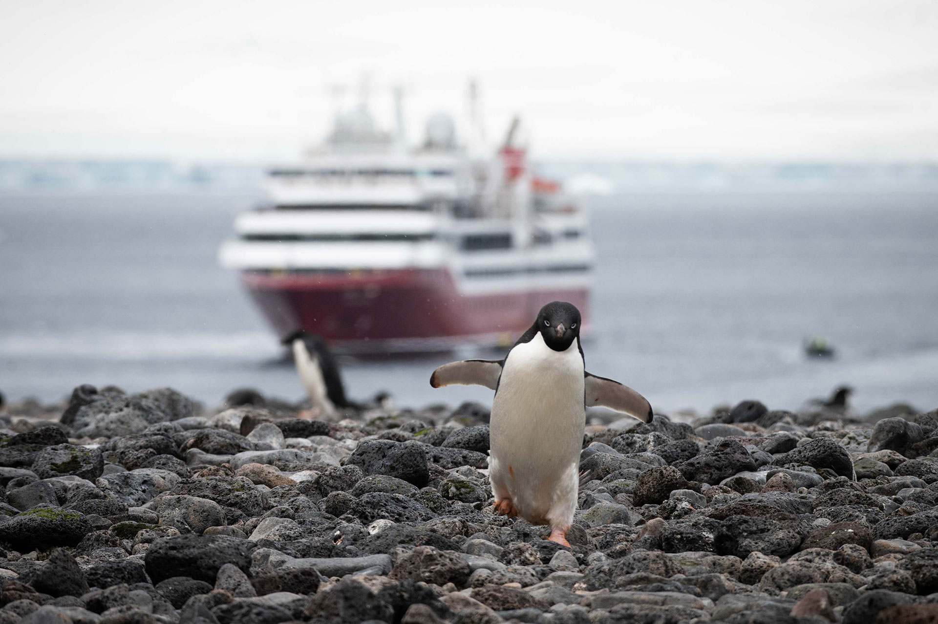 Exploris One - Antarctica