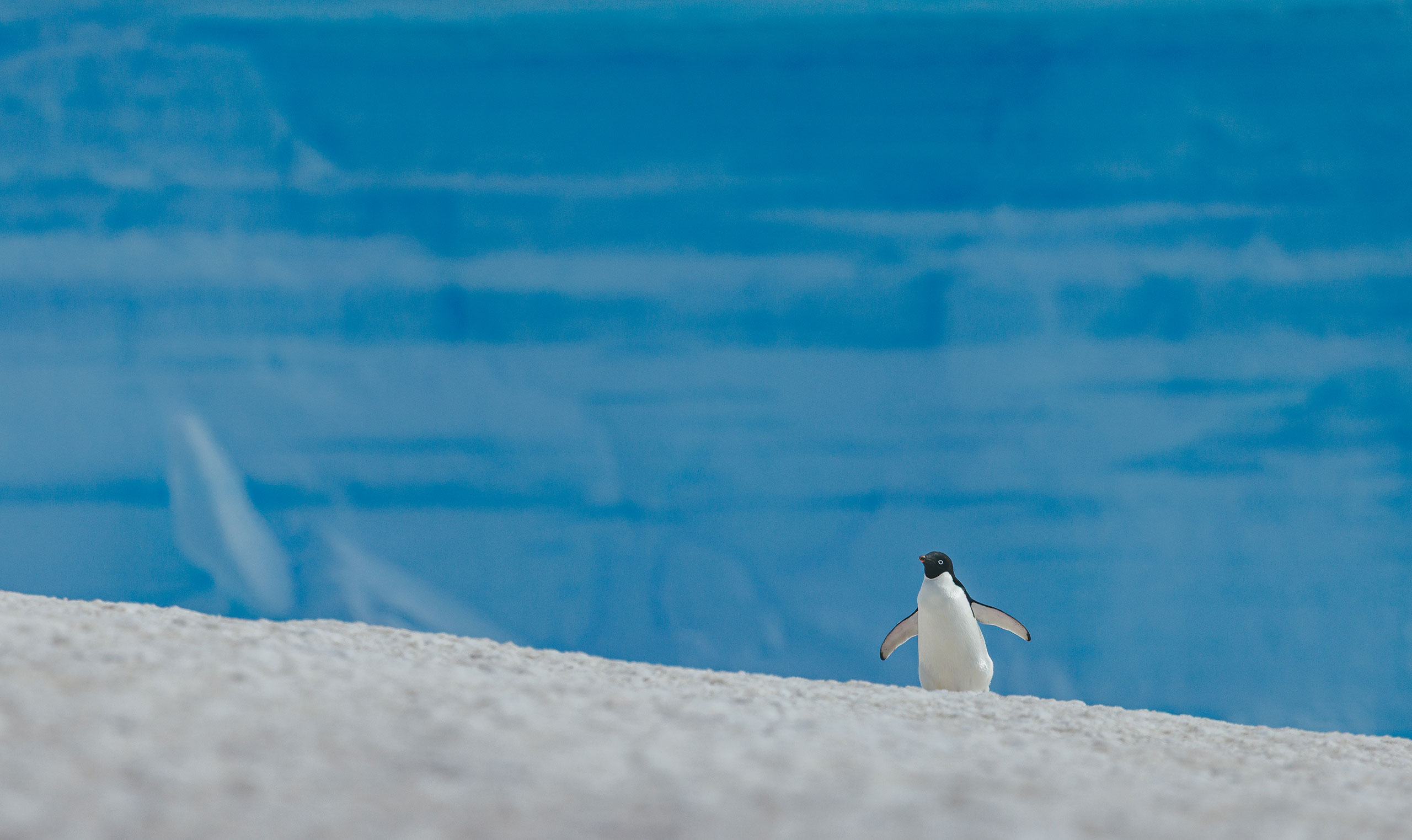 ANTARTIC-INTRO-2
